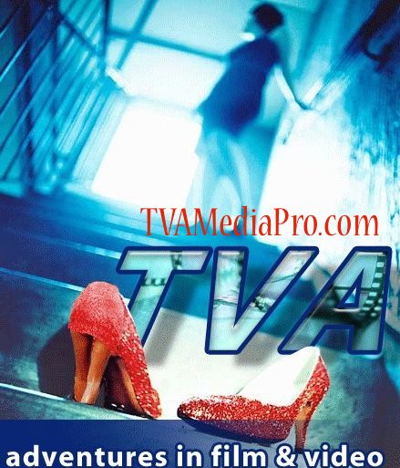 La Vida En Black; El Negro Primero  #BlackHistoryIsGlobal